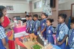 IMG-20250228-WA0075
