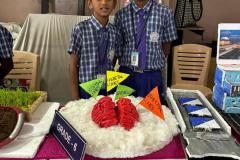 IMG-20250303-WA0016